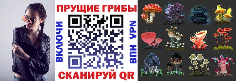 Псилоцибиновые грибы GOLDEN TEACHER  где купить наркотик  omg сайт  Кувандык 